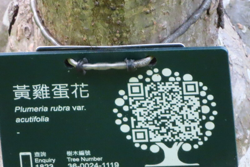 20250427001.JPG