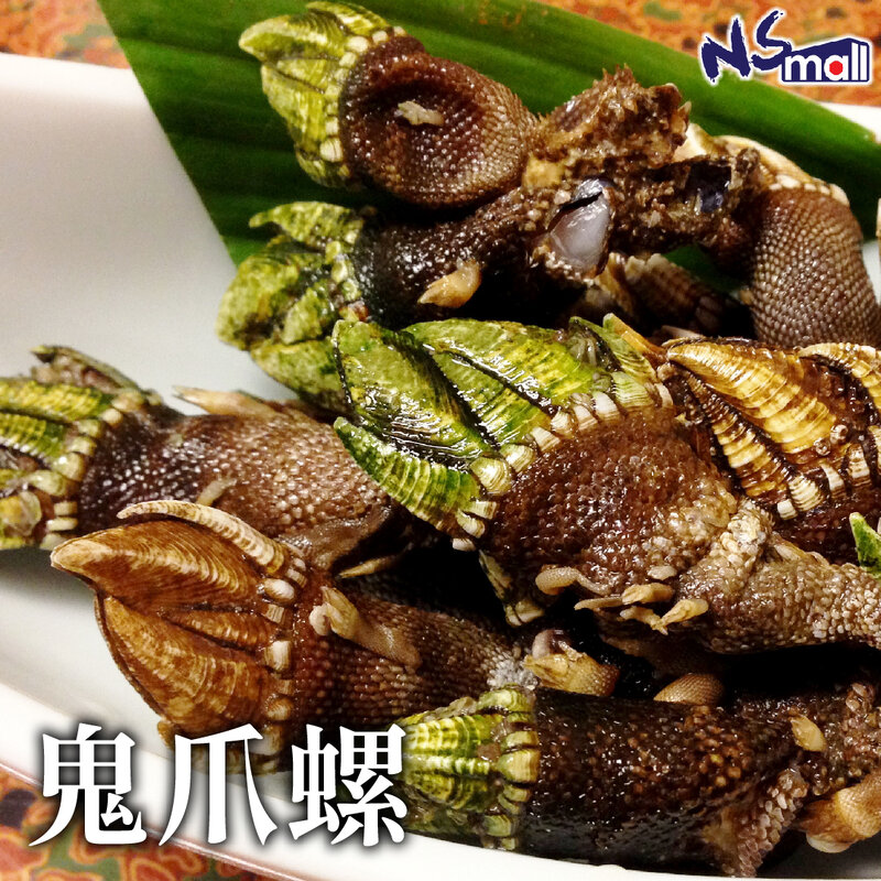 鬼爪螺.jpg