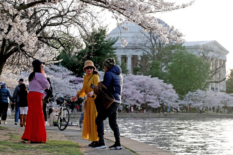 id14207323-GettyImages-2097650744.jpg