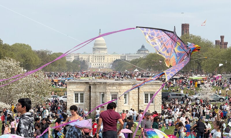 id14472195-GettyImages-2206935357.jpg