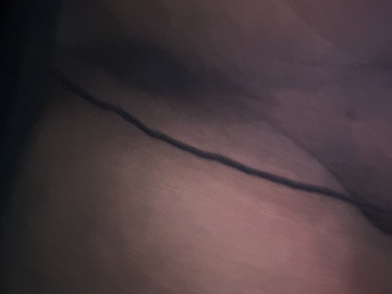 IMG_7049.jpeg