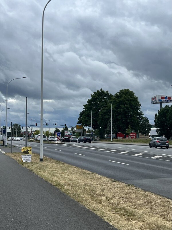 IMG_3095.jpeg