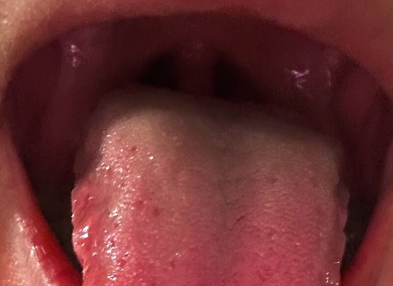 IMG_7358.jpeg