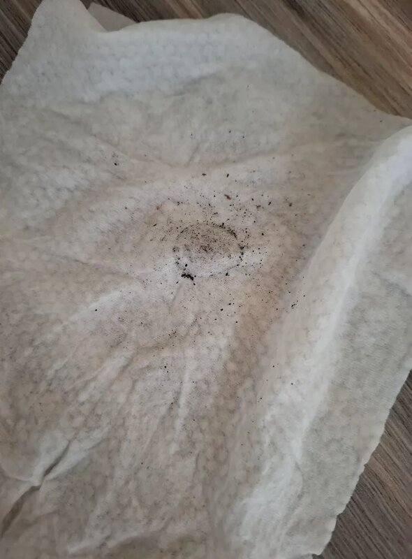 有皇后山居民投訴，即使大廈清洗水缸後，食水仍然出現黑點。（網上圖片）.jpg
