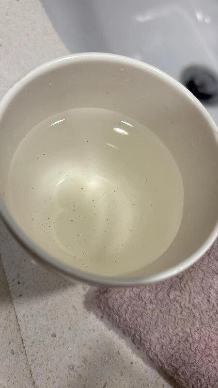 粉嶺皇后山居民發現食水出現黑色顆粒。（網上圖片）.jpg