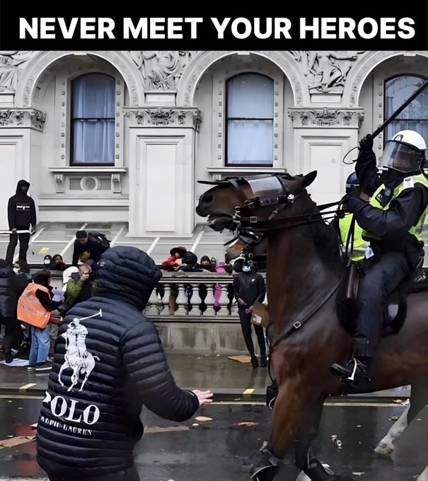 Polo - Copy.jpg