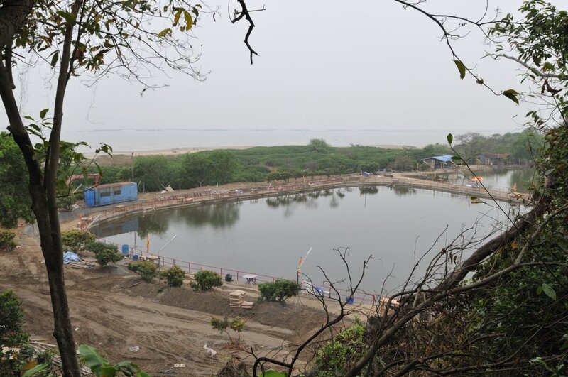 下白泥2.jpg