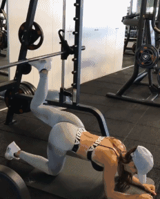 D47F5B85BBEFF40D259F74D627A1B3A74F65DC8E_size528_w232_h288.gif
