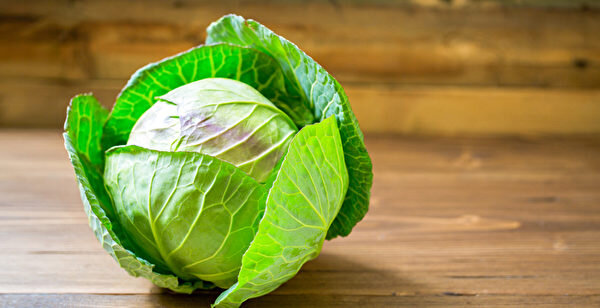 id13040713-shutterstock2_380345182-600x308.jpg