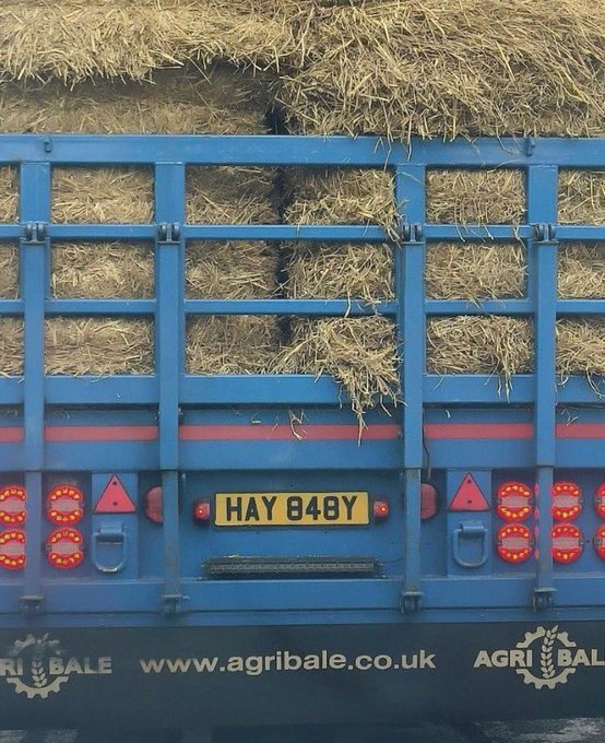 Hay Baby - Copy.jpg
