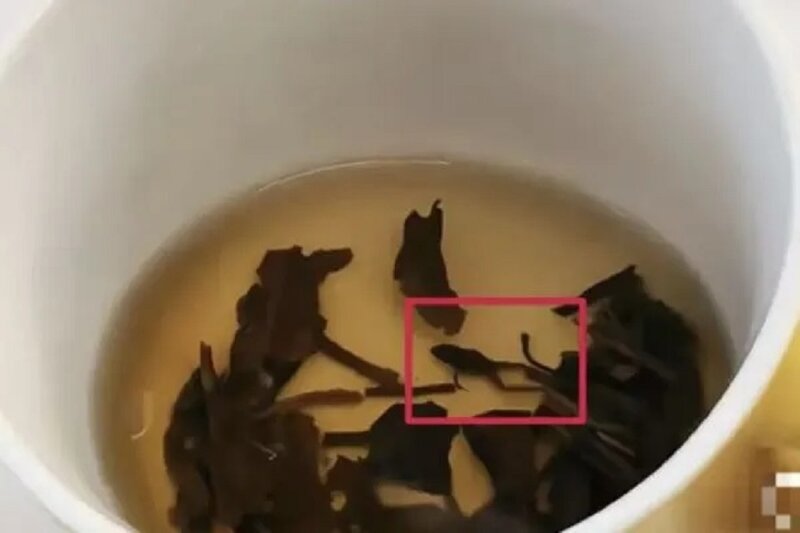 乾蛙屍體與茶葉外觀相似。.jpg