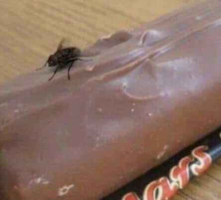 Life On Mars.jpg