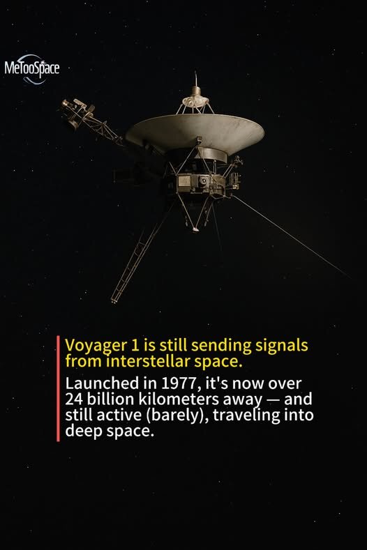 512725113_576990925464223_4057237721293633111_n.jpg