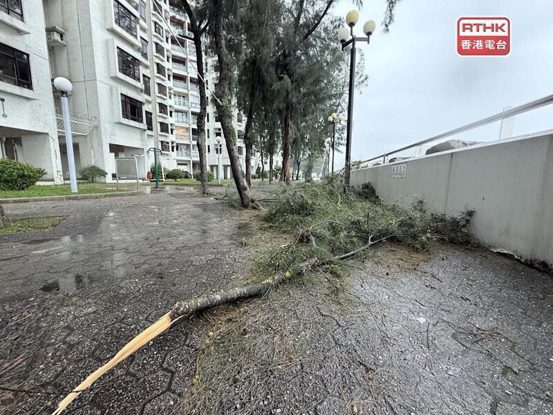 天文台稱韋帕強度不及前年超強颱風蘇拉 但本地風力程度不遑多讓.jpg