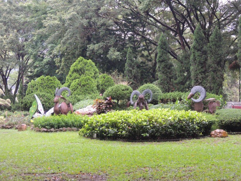 屯門公園3.jpg