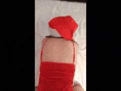 gif.gif